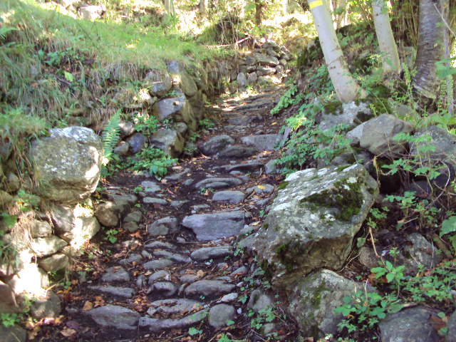 #8 descente fournels : les dalles sont bien glissante ,freinage un peu chaud... descente fournels : les dalles sont bien glissante ,freinage un peu chaud...