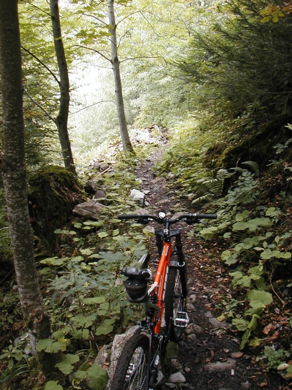 #4 sentier sous le chalet Bottier : Humide et glissant sentier sous le chalet Bottier : Humide et glissant