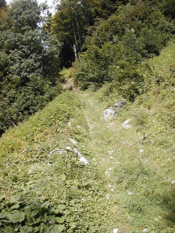 #6 La piste avant le replat : Beaucoup de cailloux, de pente et de végétation = poussage La piste avant le replat : Beaucoup de cailloux, de pente et de végétation = poussage