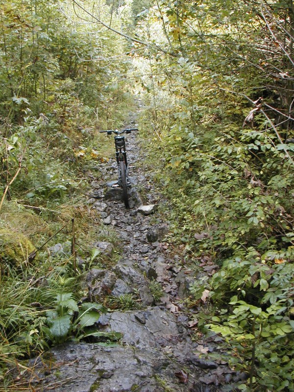 #5 Le bas du sentier : Là, moi je roule pas Le bas du sentier : Là, moi je roule pas