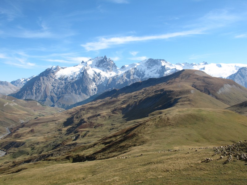 #7 Moutons... : Il y avait aussi des moutons, des chiens de bergers et des marmottes qui sifflaient... Moutons... : Il y avait aussi des moutons, des chiens de bergers et des marmottes qui sifflaient...