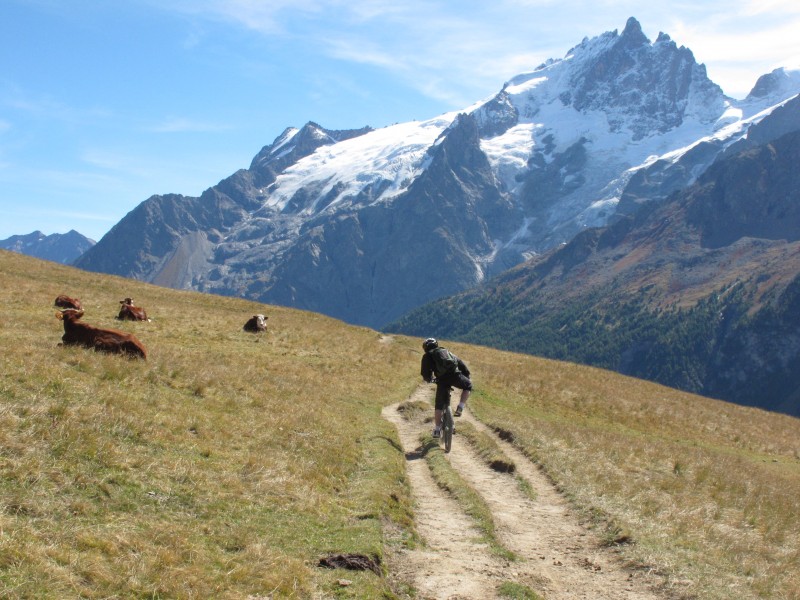 #5 Meije : pas grand monde sur le Plateau aujourd Meije : pas grand monde sur le Plateau aujourd'hui... à part les vaches, la Meije,...