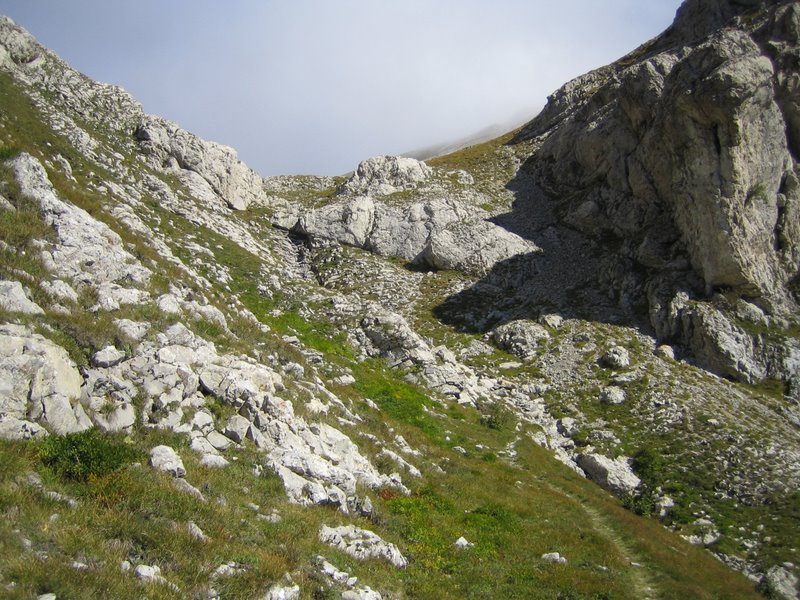 Col de Rabou: Versant Sud : le haut de la descente