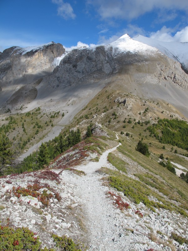 #9 Descente : Descente sur le col Fromage : qui c Descente : Descente sur le col Fromage : qui c'est qui est dégouté d'être resté à Grenoble...?