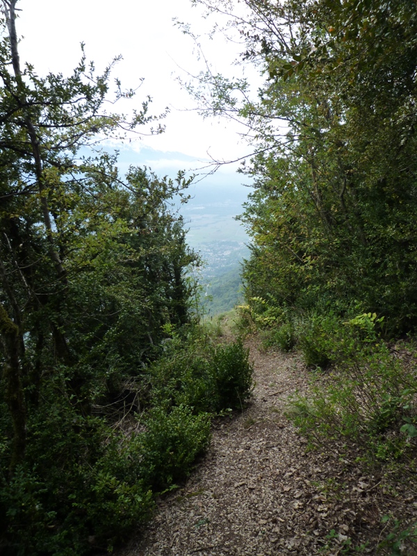 #3 Bois de Beaumont : Sortie de la forêt,enfin ça roule un peu plus! Bois de Beaumont : Sortie de la forêt,enfin ça roule un peu plus!