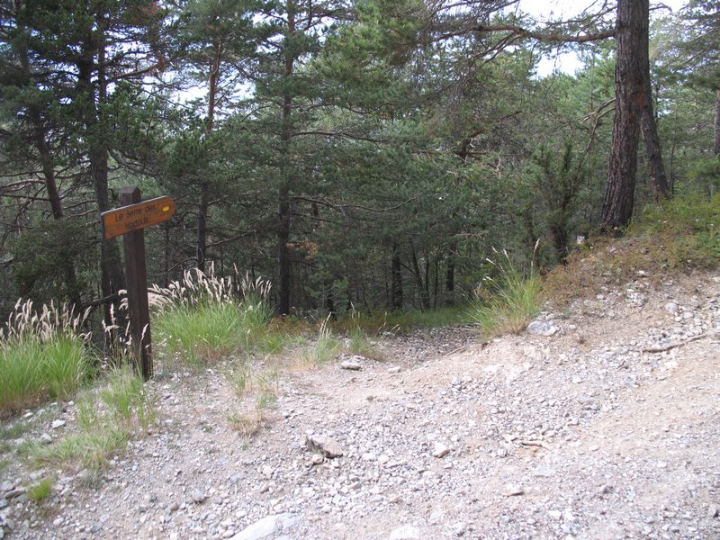 chemin du Guillermin : au débouché sur la piste