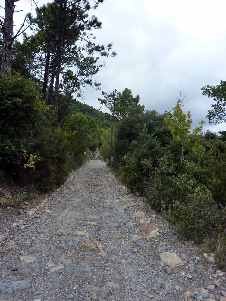 #2 La piste montant au refuge Pau : Là elle est plutôt belle, mais certaines portions sont vraiment abîmées. La piste montant au refuge Pau : Là elle est plutôt belle, mais certaines portions sont vraiment abîmées.