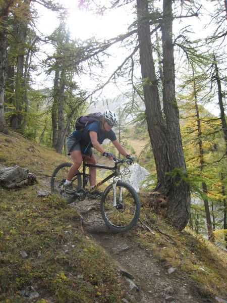 #10 Dans les bois : Passage racineux pour Zigual Dans les bois : Passage racineux pour Zigual