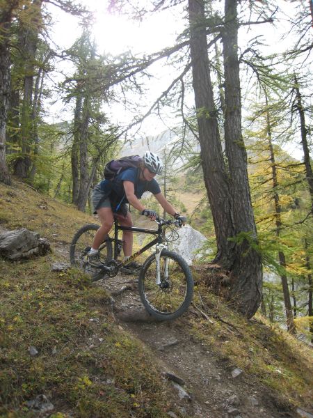 Dans les bois : Passage racineux pour Zigual