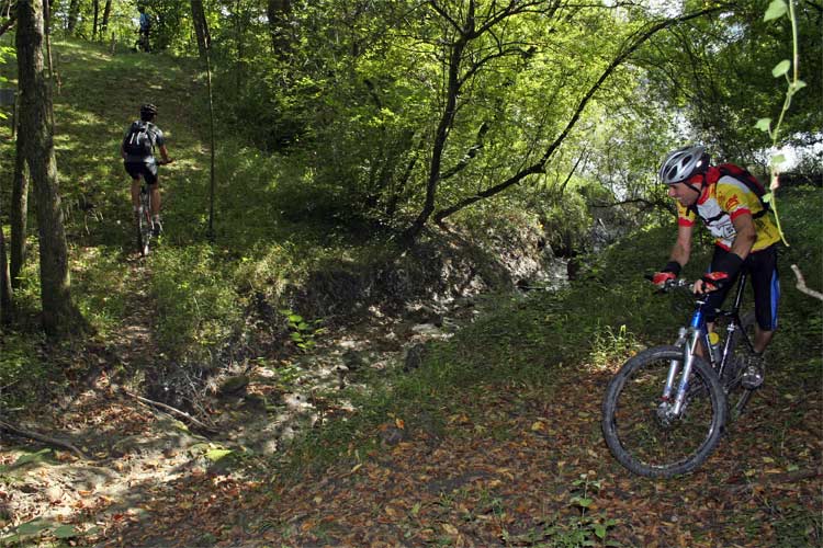 #6 Rive du Rhône : Franchissement d Rive du Rhône : Franchissement d'un ruisseau.