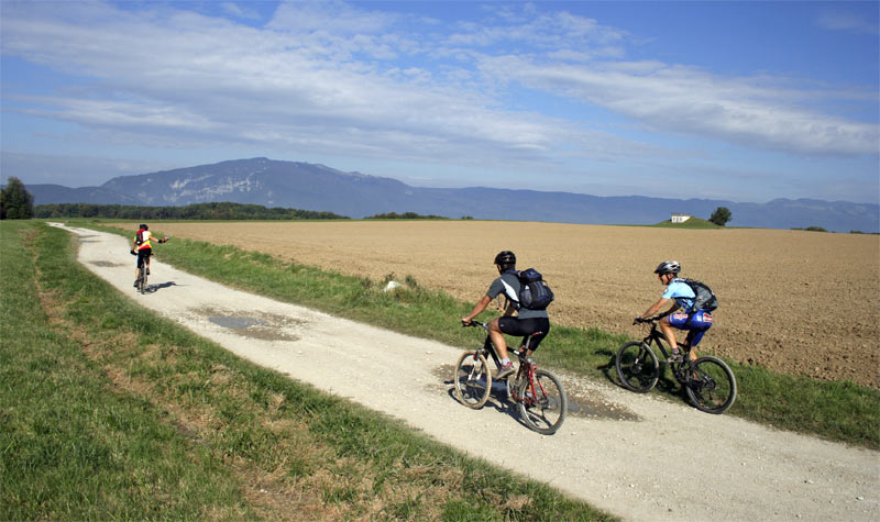 #1 Les Longues Reisses : Au loin le Grand Crêt d Les Longues Reisses : Au loin le Grand Crêt d'Eau et la Crête du Jura.