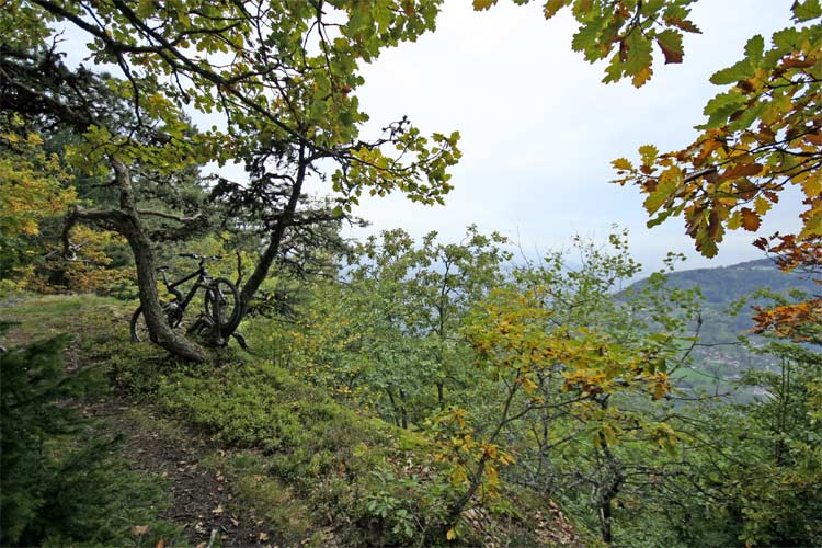 #2 Crête du Vouan : Ambiance d Crête du Vouan : Ambiance d'automne.
