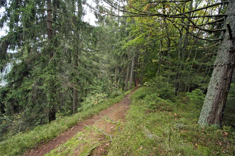 #1 Crête du Vouan : Sur la Crête du Mont Vouan Crête du Vouan : Sur la Crête du Mont Vouan