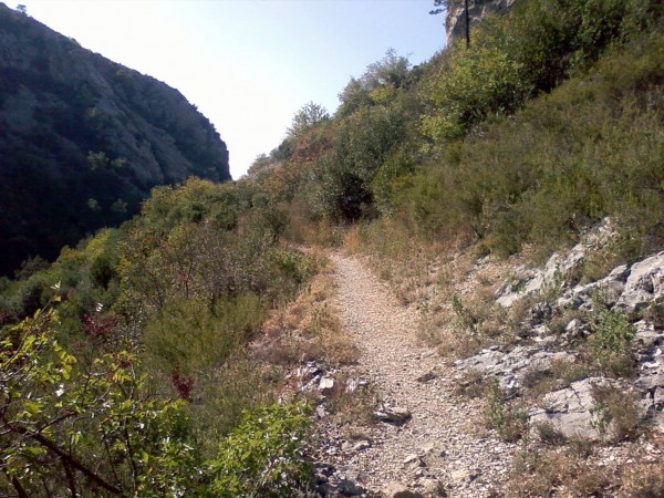 #2 Ravin de Galambert : La sortie du vallon, c Ravin de Galambert : La sortie du vallon, c'est par là !