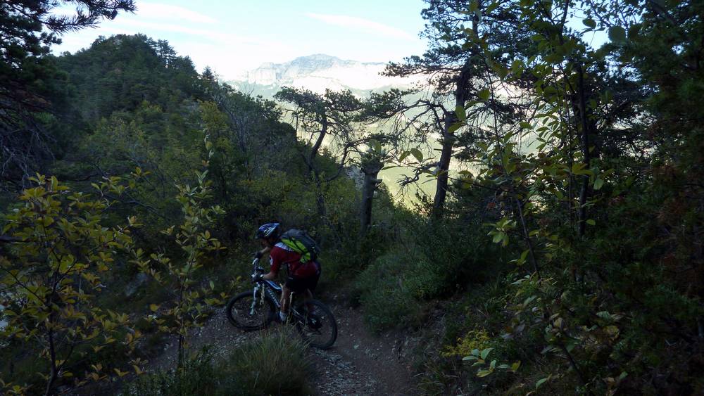 entre le col de Beauvoisin et les 40 lacets