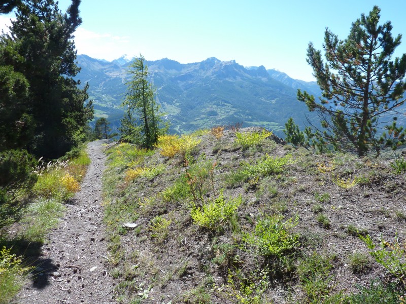 Sentier de Belmont : Beau passage bien lisse