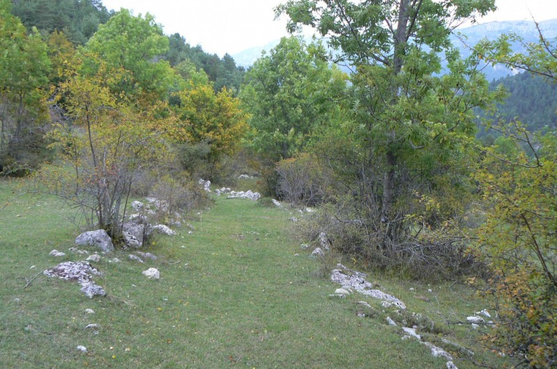 #6 Vallon de la Baume : Sentier moquette Vallon de la Baume : Sentier moquette