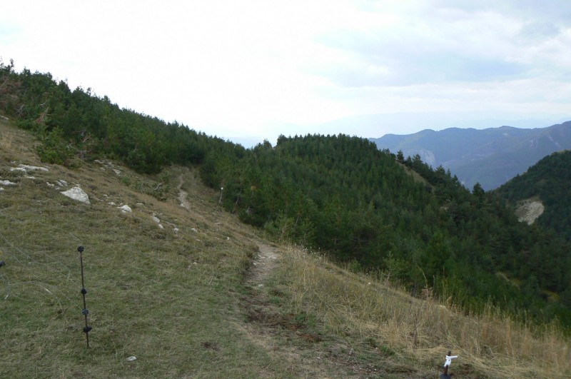 #4 Single : Descente vers le col de Bois Rien. Single : Descente vers le col de Bois Rien.