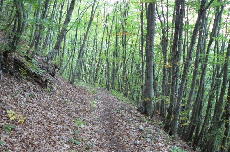 #7 Vallon de la baume : Joli passage mais c Vallon de la baume : Joli passage mais c'est bientôt fini...