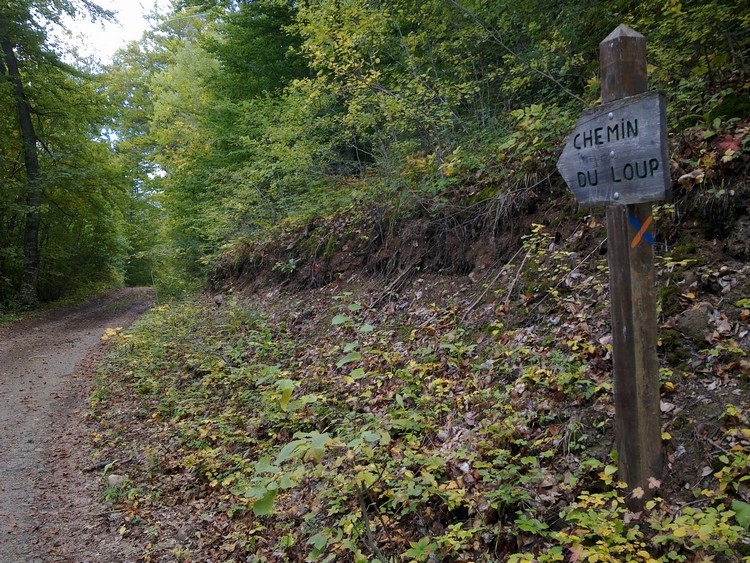 #1 mauvais plan : en plus c mauvais plan : en plus c'est un cul de sac
