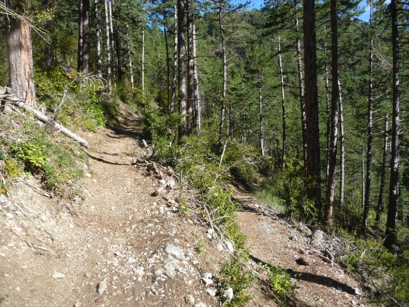 Les Chemins du Soleil : Ca roule bien !