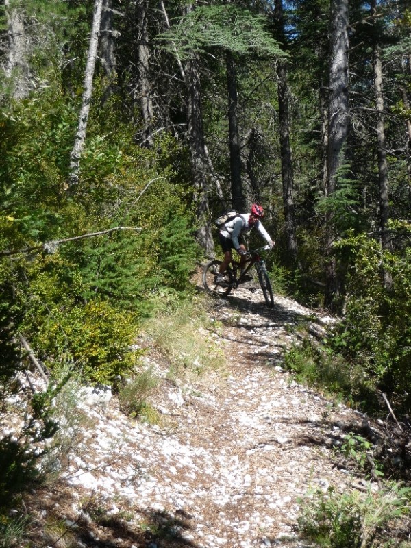 les Chemins du Soleil : belle épingles sur ce ST dans les mélèzes !