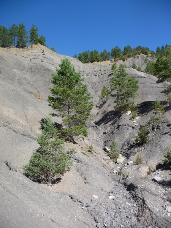 Les Chemins du Soleil : superbe