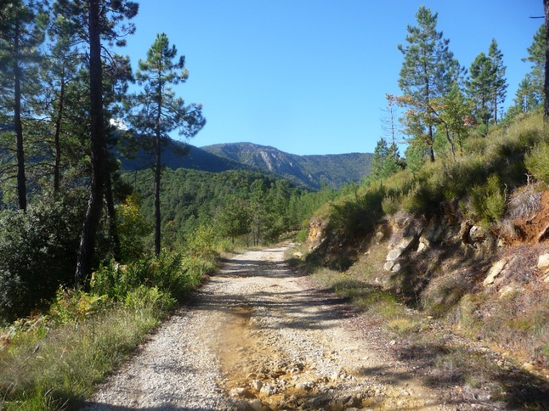 les Chemins du Soleil : La piste qui mène au Pous.