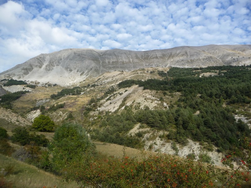 Les Chemins du Soleil : belles couleurs !