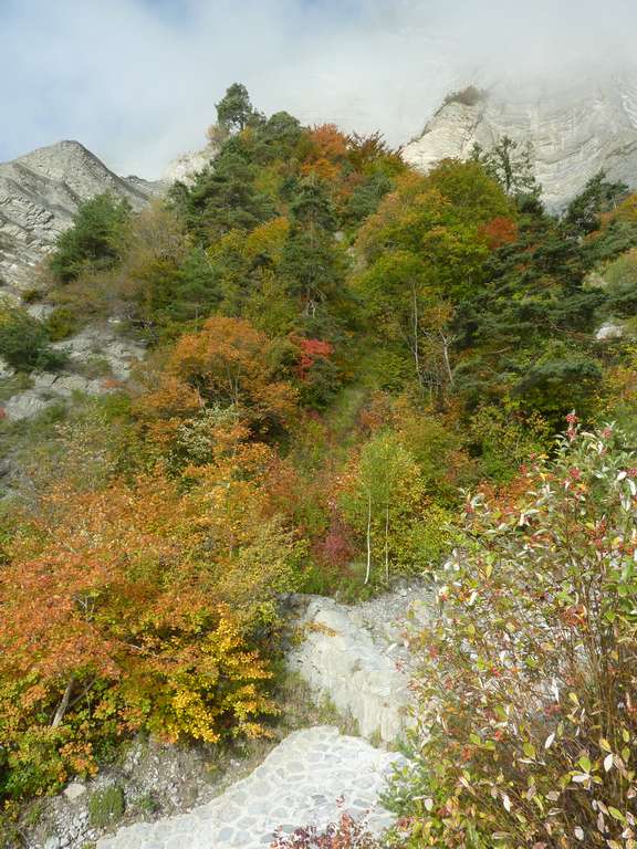 Couleurs d'automne : l'automne est bien là en Chartreuse