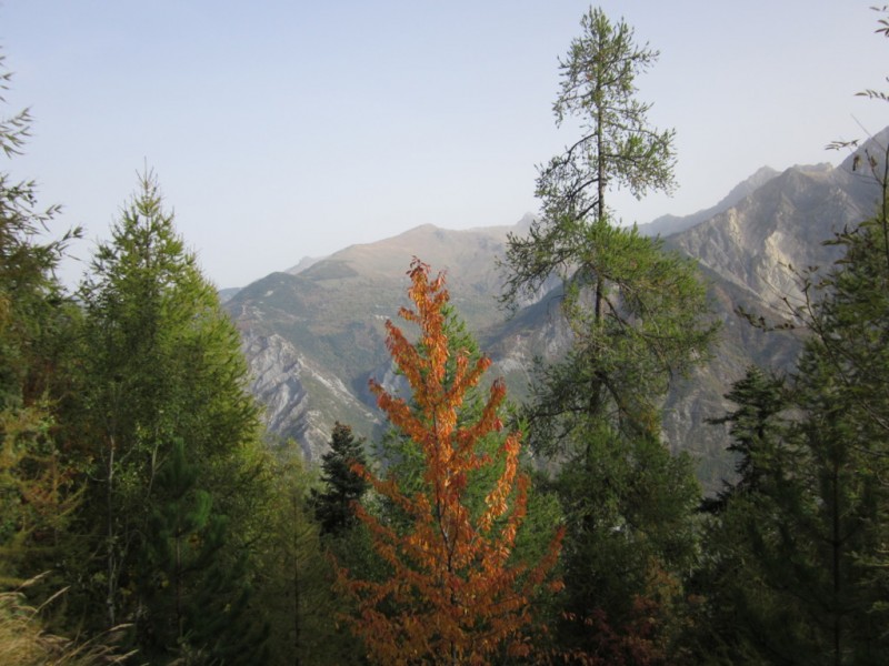 #1 Lancheton : Malgré la chaleur, c Lancheton : Malgré la chaleur, c'est bien l'automne!