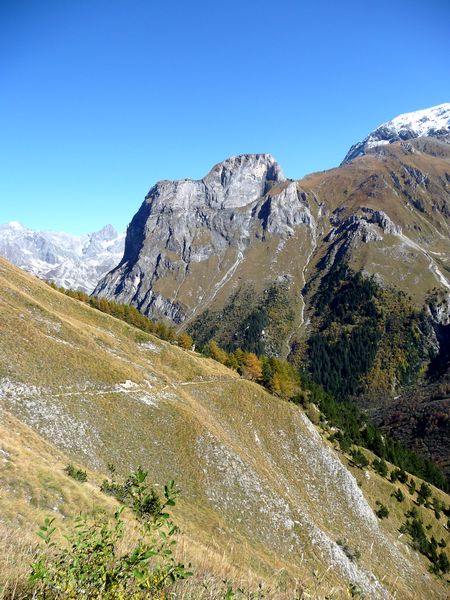 #7 Les Prioux : Joli, joli Les Prioux : Joli, joli