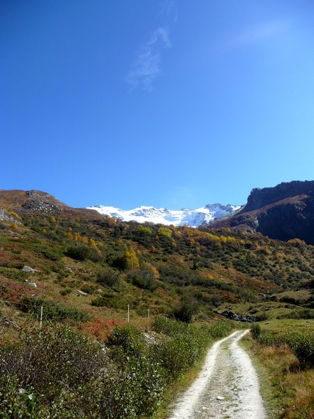 #8 Vanoise : Automne en bas et Hiver en haut Vanoise : Automne en bas et Hiver en haut