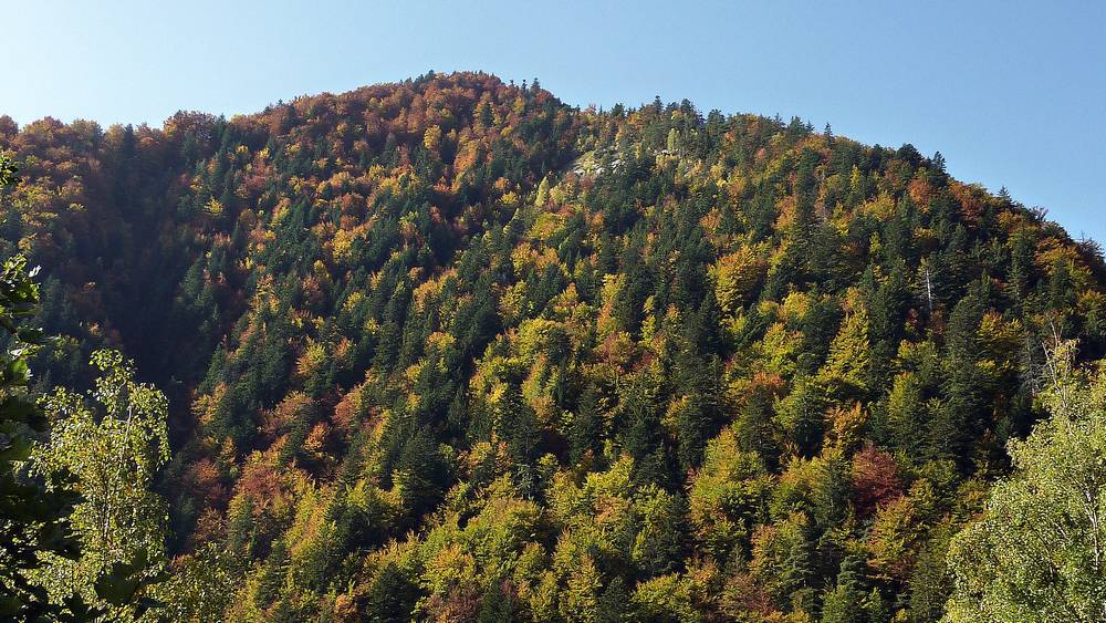 Automne : festival de couleur