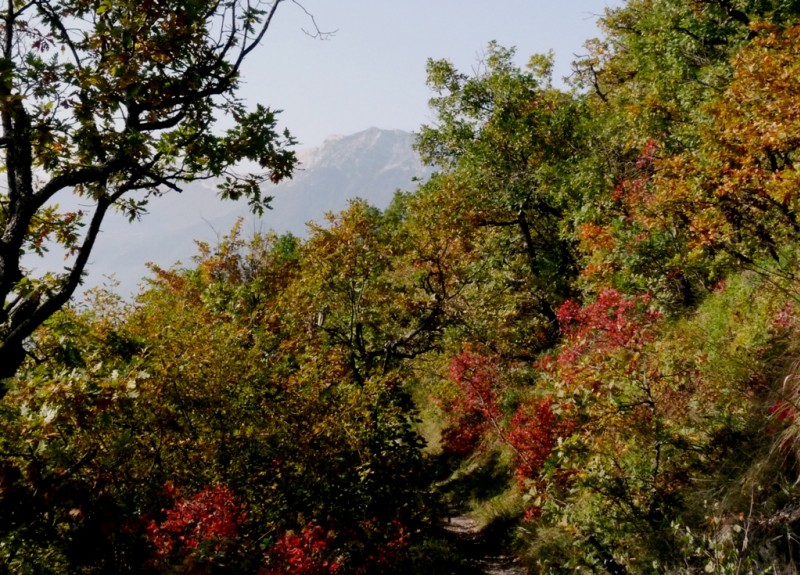 #3 Le Mont Jalla : avec le Moucherotte en arrière plan. Le Mont Jalla : avec le Moucherotte en arrière plan.