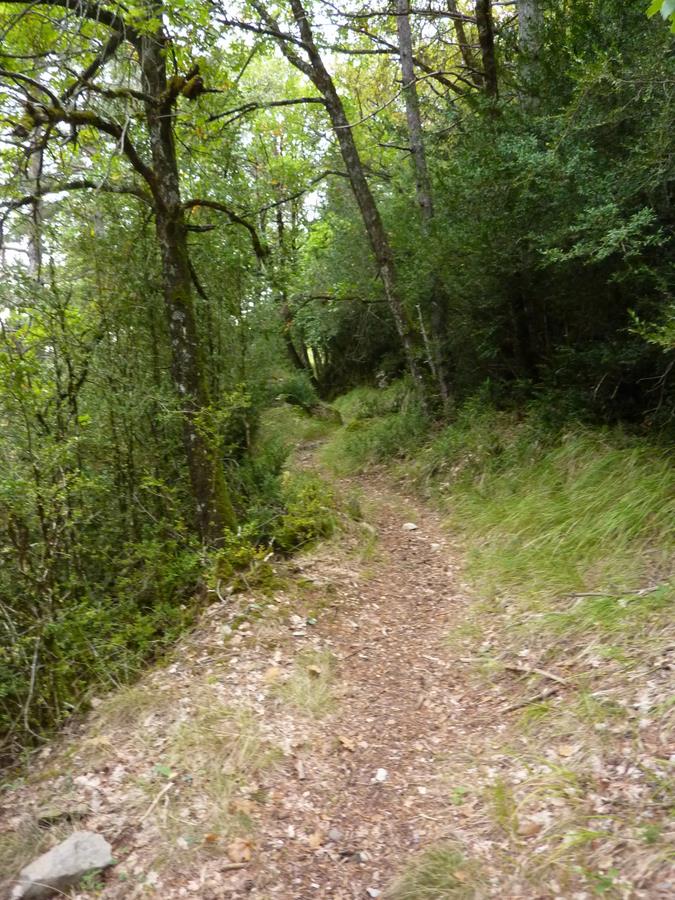 #8 Montée à la voie romaine : Entre les balises 112 et 111 Montée à la voie romaine : Entre les balises 112 et 111