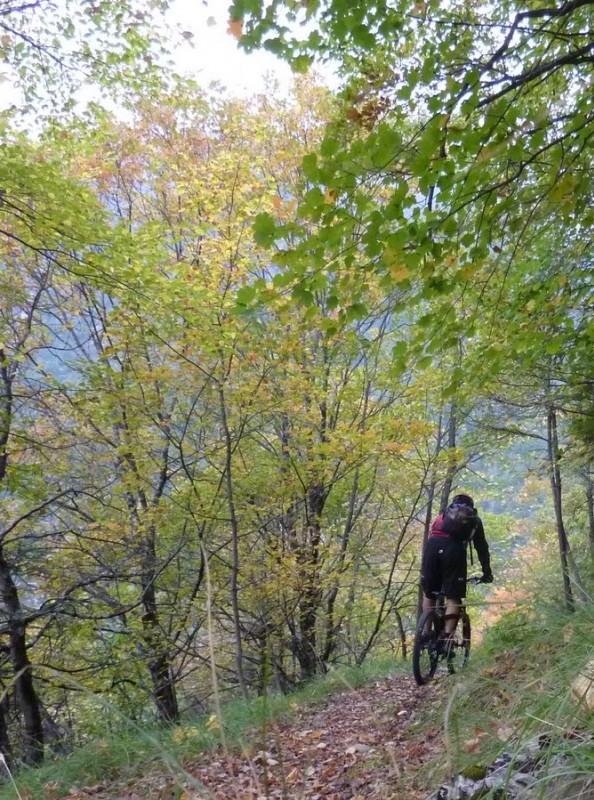 #6 Ratapénau : Superbe Ratapénau : Superbe