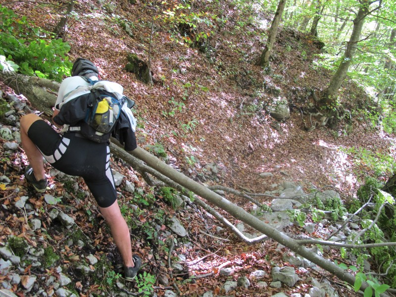 #4 slyeb4 : bucheronnage dans le col de Baure slyeb4 : bucheronnage dans le col de Baure