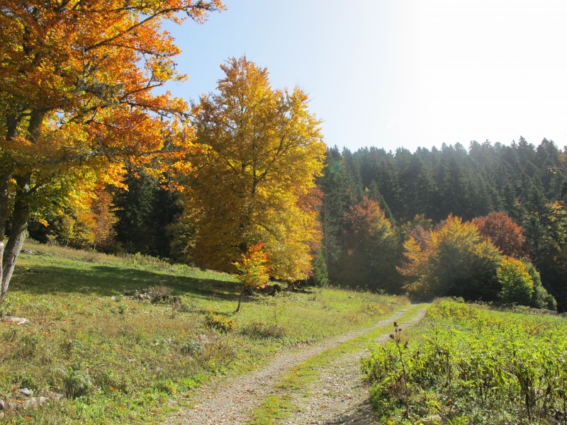 #1 slyeb1 : automne est là slyeb1 : automne est là