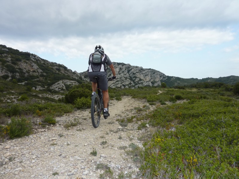 #1 Sentier de Pierredon : Nono retrouve les Alpilles Sentier de Pierredon : Nono retrouve les Alpilles