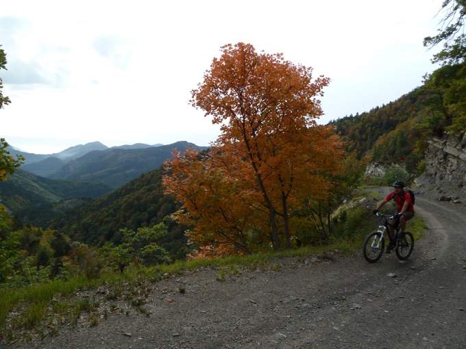 La piste de montée : Les arbres ne mentent pas sur la saison !