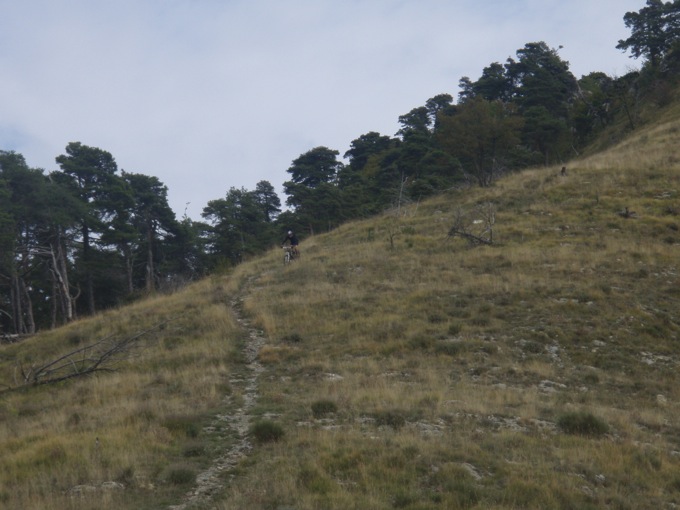 un peu de freeride