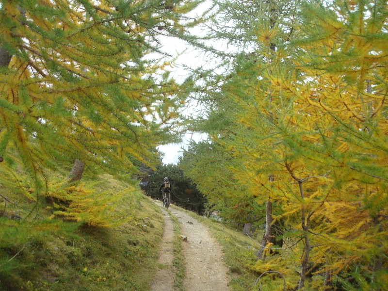 Chemin du Roy : Puisqu'on vous dit que c'est l'automne !