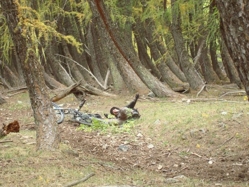 Chemin du Roy : Communion avec la nature