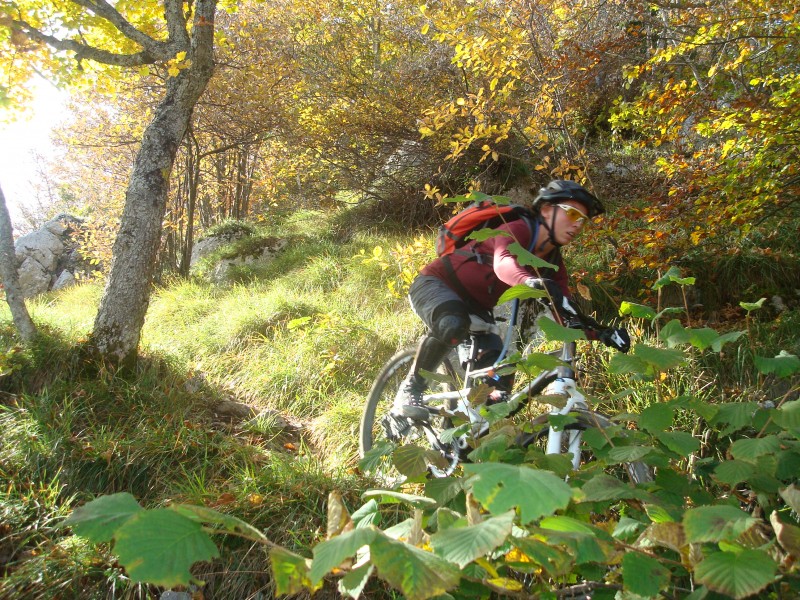 #4 Descente jeux vidéo : Descente facile en T2 Descente jeux vidéo : Descente facile en T2