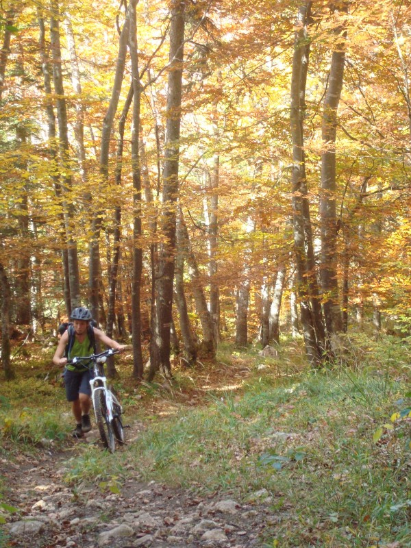 #2 Fin de la montée : aux couleurs de l Fin de la montée : aux couleurs de l'automne