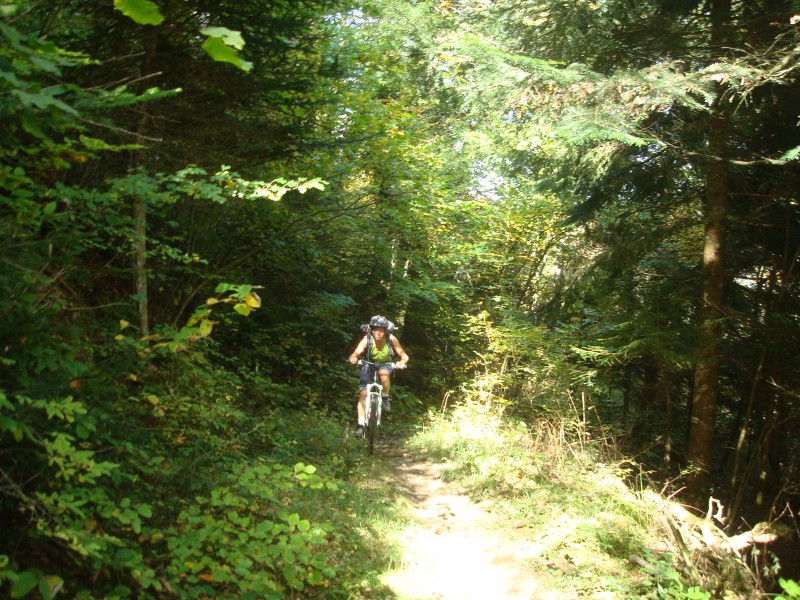 #1 Montée par chemin glissouille : ça tient mieux sur l Montée par chemin glissouille : ça tient mieux sur l'herbe !