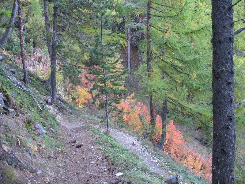 #5 sentier en bon état : avant la traversée vers le Rocher de Roure, c sentier en bon état : avant la traversée vers le Rocher de Roure, c'est après que c'est abimé (accès gravitaire !!?)