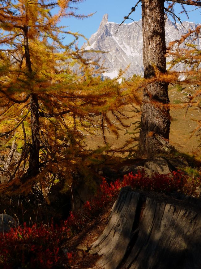 #24 Youlaz : Petite carte postale un peu kistch... Youlaz : Petite carte postale un peu kistch...