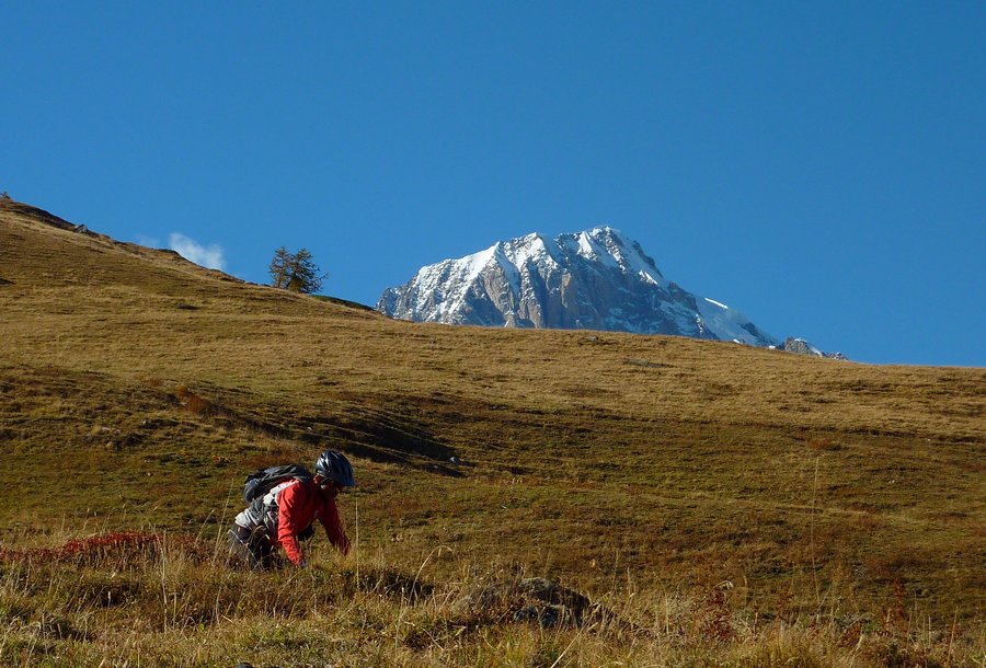 #21 Youlaz : Mont Blanc de Courmayeur Youlaz : Mont Blanc de Courmayeur